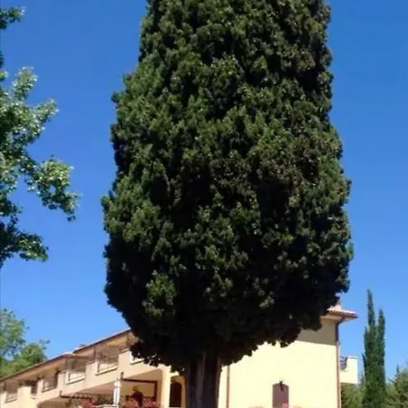 Terrena *