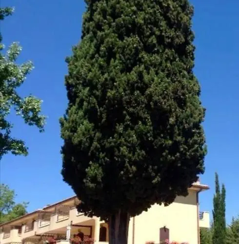 Terrena *
